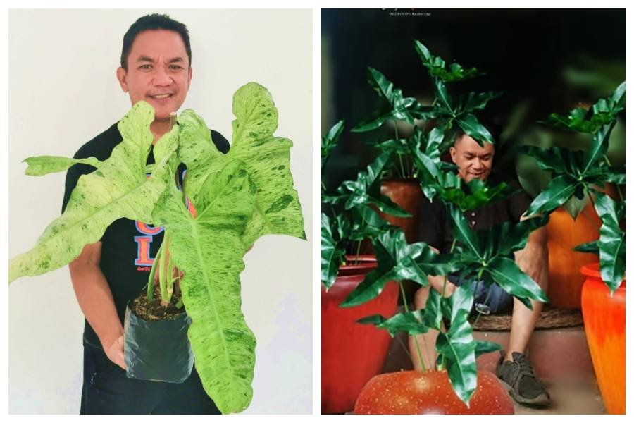 Live Selling Brilliance: Transforming the E-commerce Landscape in the Philippines