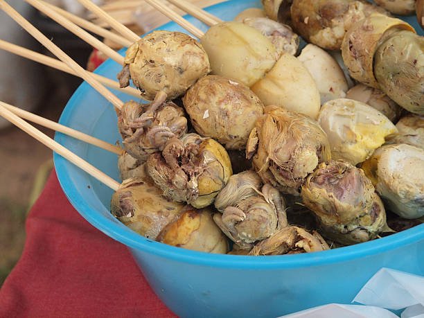 Balut : Unwrapping Culinary Culture Through a Blogger's Lens