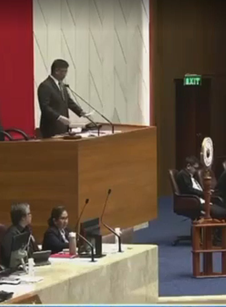 Negros Power Franchise Approved in Congress