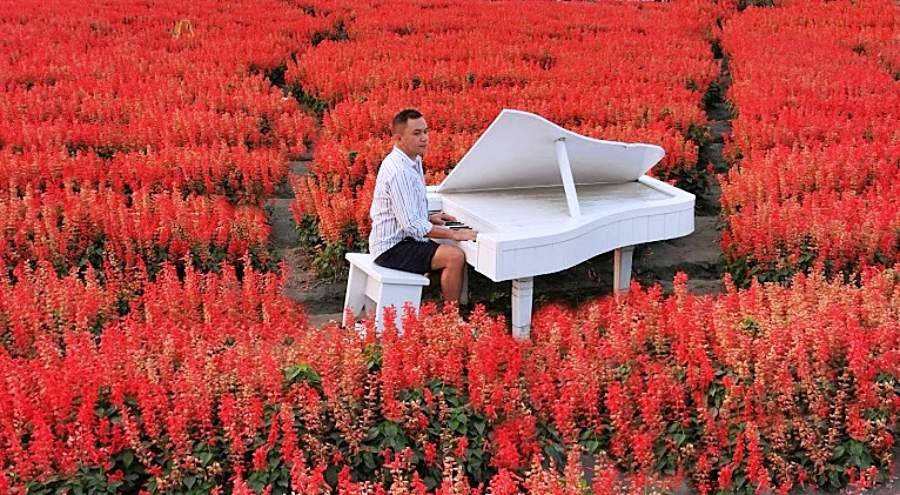 Chung-she Flower Market [ Zhongshe ], Taichung, Taiwan: Travel Guide