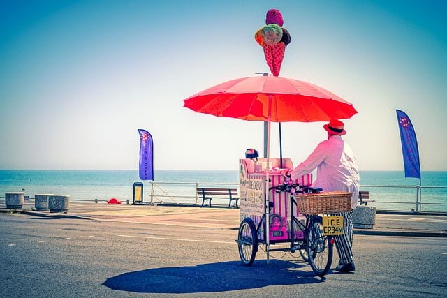 [Personal Entrepreneurial Competencies ]