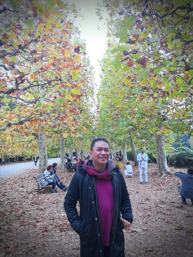 Shinjuku Gyoen National Garden | Tourist Spot | Tokyo, Japan