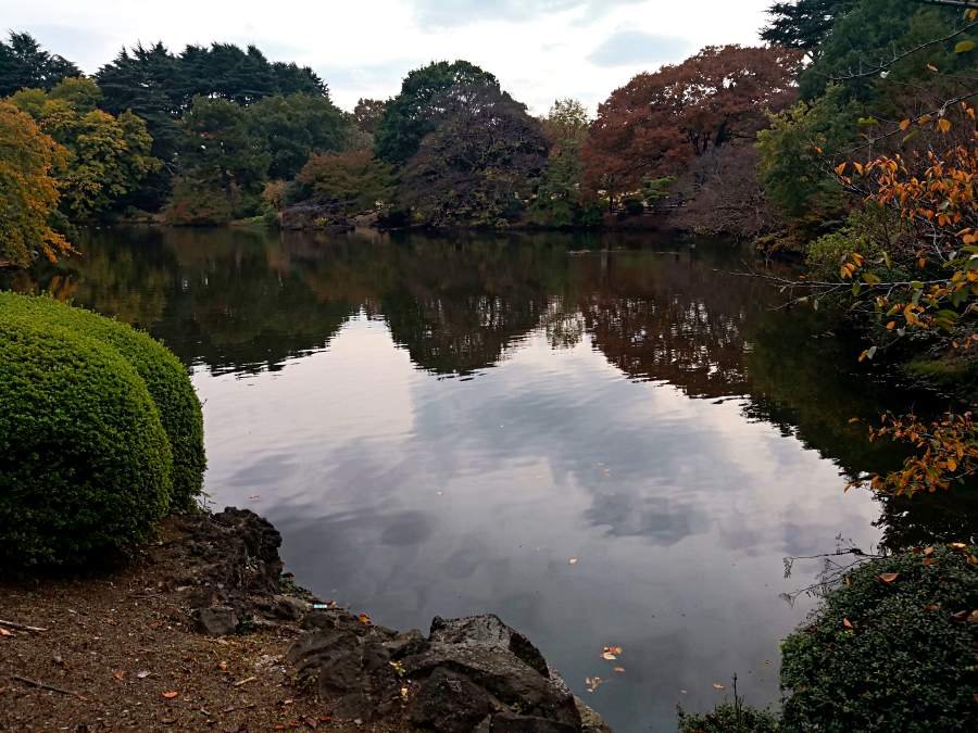  History and Background of  Shinjuku Gyoen National Garden 