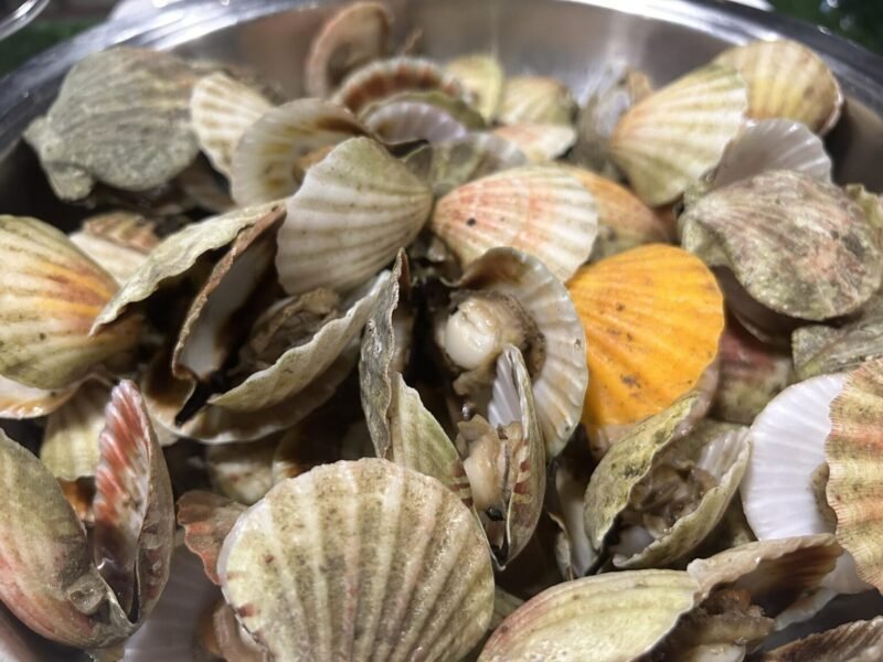 Hunasan Seafood House, Bacolod City | A Review