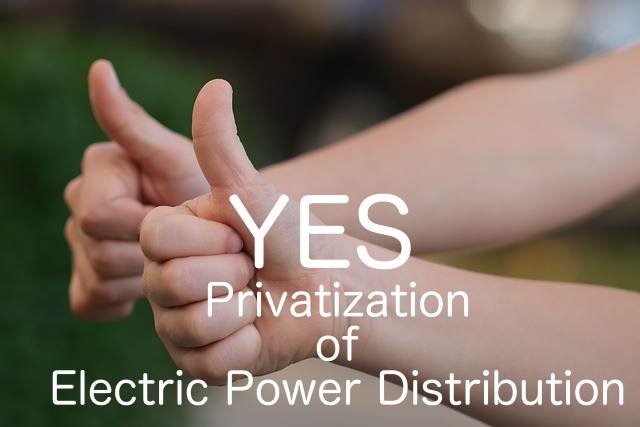 Privatization of Electric Power Distribution: Consumers Voice Support