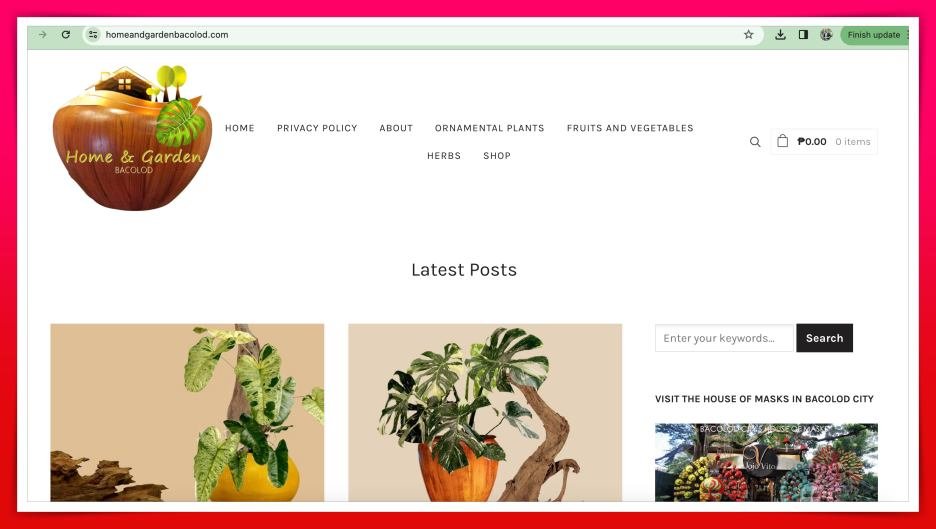 Building a Website for Your Small Business