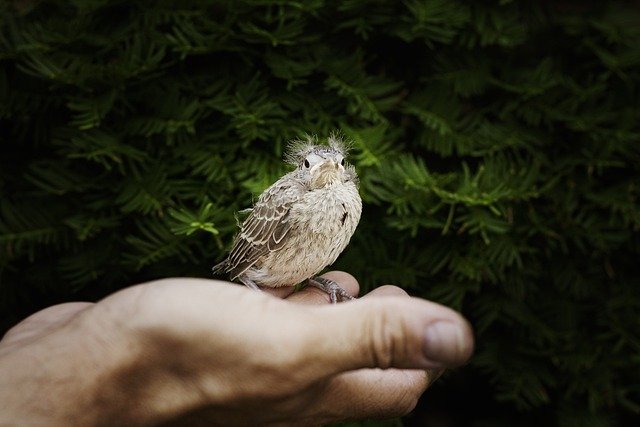 Self-Efficacy: A Journey to Purpose and Impact