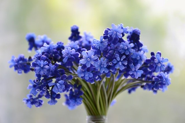  Funeral Etiquette: Supporting the Grieving with Care