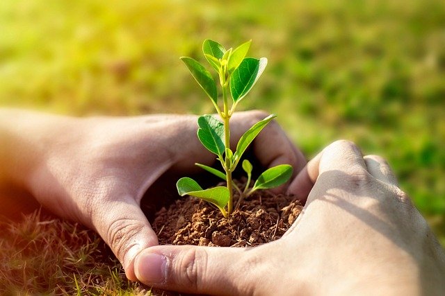 Sustainability in Business: A Personal Perspective