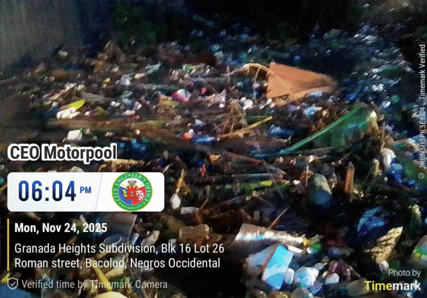 Verbena, Trash, Failed Projects — and the Urgent Call for Accountability