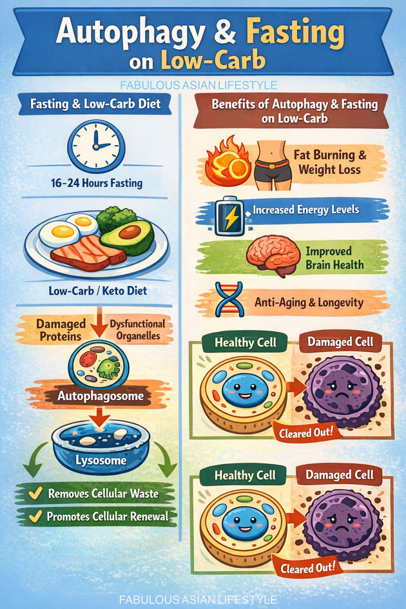 Autophagy, Fasting on Low-Carb: Cellular Renewal for Health
