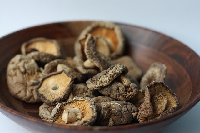 Dried Mushrooms Health Benefits, Healing Properties